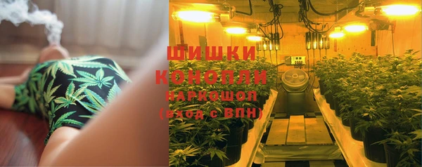 ГАЛЛЮЦИНОГЕННЫЕ ГРИБЫ Ростов
