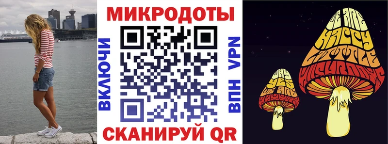 Псилоцибиновые грибы ЛСД как найти наркотики Сельцо